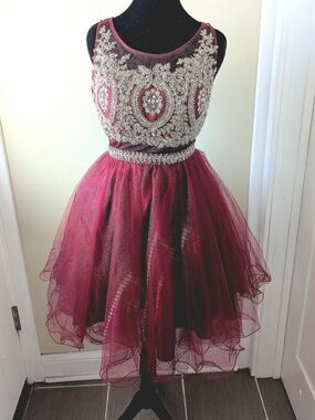 Embellished Burgundy Tulle Party Dress for Girls